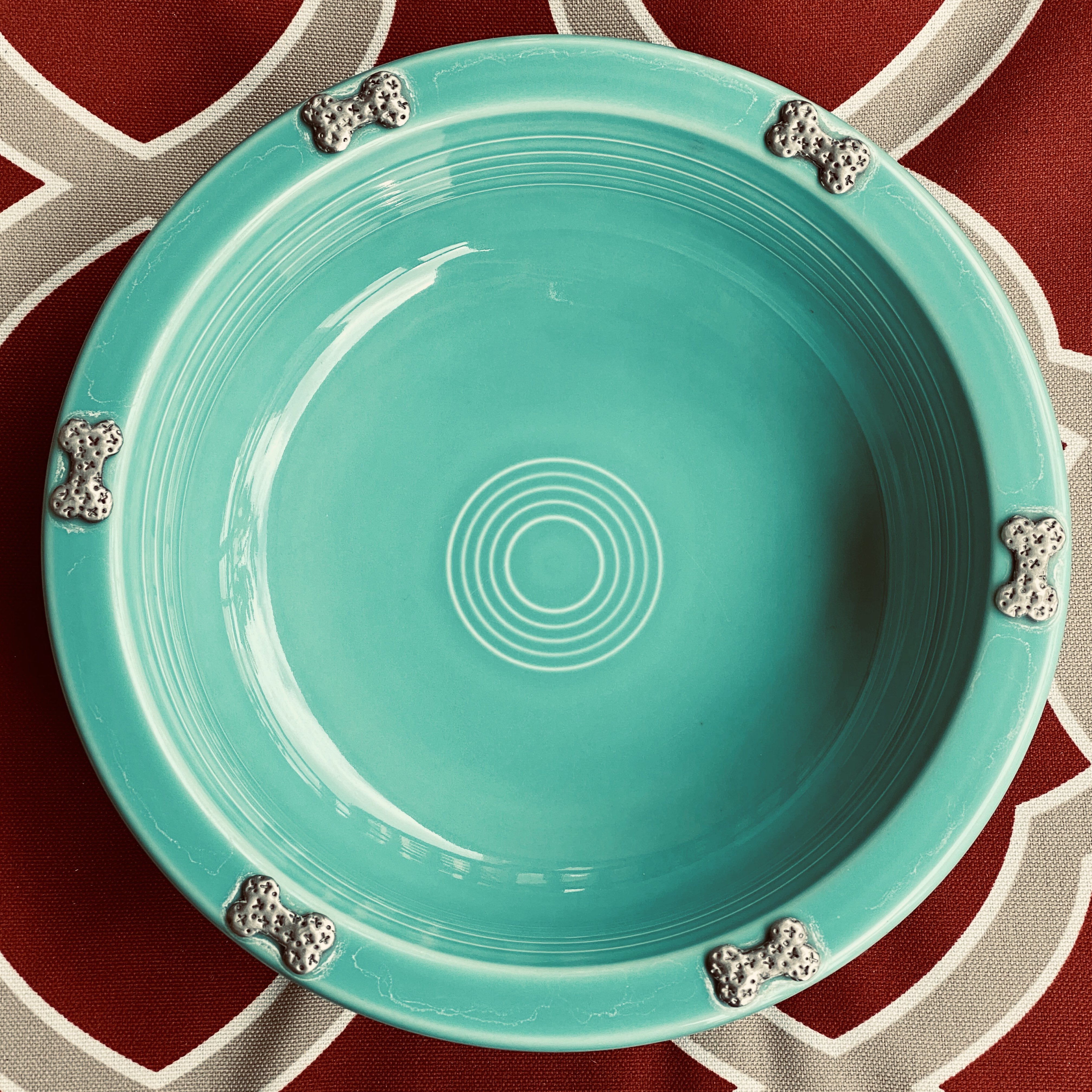 turquoise dog bowl