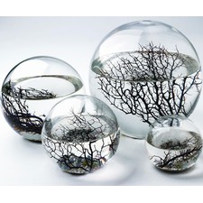 Self Sustaining Ecosphere