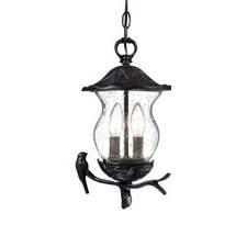 Acclaim Lighting Avian Collection Hanging Outdoor 2-Light Black Coral Light Fixture-7566BC/SD at The Home Depot