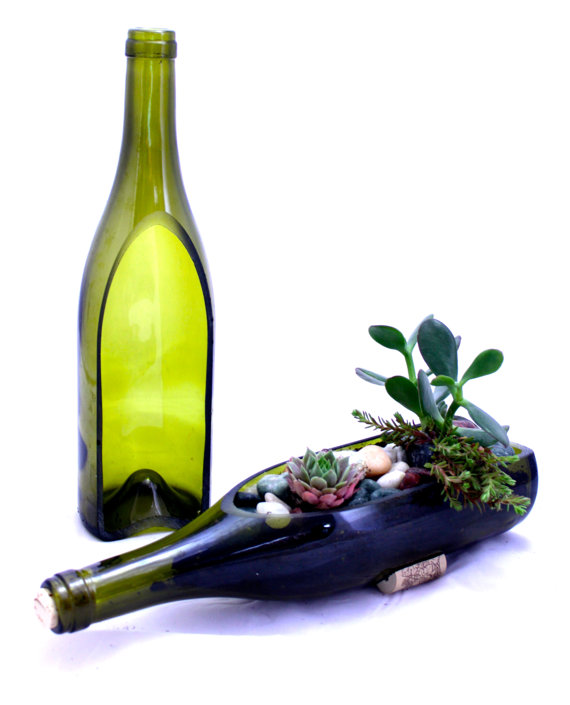 Wine Bottle Garden Succulent Planter - DIY Build Your Own Garden