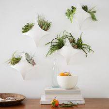 Curved Diamond Tile Wall Planter, White