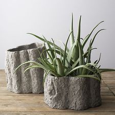 Fish Short Planter in Paola Navone Fish | Crate and Barrel