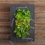 Chalkboard Wall Planter