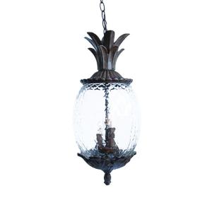 Acclaim Lighting Lanai Collection Hanging Outdoor 3-Light Black Coral Light Fixture-7516BC at The Home Depot