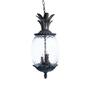 Acclaim Lighting Lanai Collection Hanging Outdoor 3-Light Black Coral Light Fixture-7516BC at The Home Depot