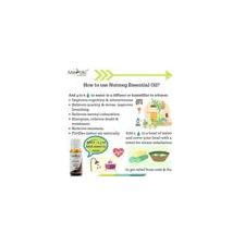 Nutmeg Essential Oil