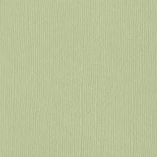 ALOE VERA – Bazzill Mono 12x12 Cardstock