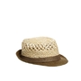 Image 1 of Selected Brix Straw Fedora Hat