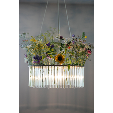 Maria S.C. single test tubes chandelier