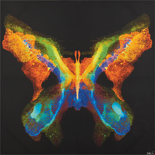 ButterflyPrint40inS13