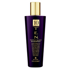 ALTERNA TEN Perfect Blend Shampoo | Beauty.com