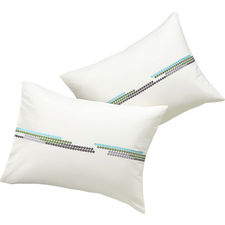 set of two standard ditto embroidered shams