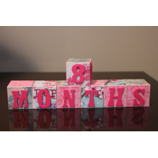 Month to Month First Year Personalized Baby Blocks