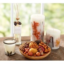 Homescent Collection - Acorn Spice | Pottery Barn