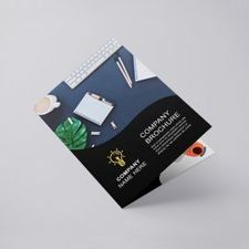  Brochure Printing Services