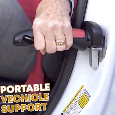 Image result for Car Door H...