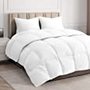CGK Unlimited Comforter Duvet Insert – Warm, Lightweight & Breathable Queen Size Down Alternative Set – Hotel Quality Bedding - & Fibers Ideal for Allergies - Lightweight Duvet