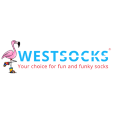 WestSocks - Navy Blue & Maroon Striped Socks