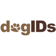 Personalized Genuine Dog Collars Leather