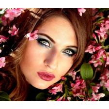 Full Makeup Application