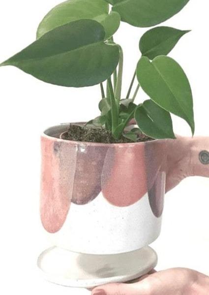 Ceramic Plant Pots | Garner...