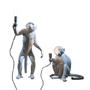 Monkey Lamps design by Seletti