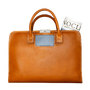 Fox and Blue Trash Messenger by Travelteq - shop at Roztayger