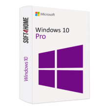 Windows 10 Pro (1 Gerät)