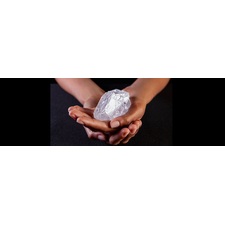 The Most Common Shape for Rough Gem Quality Diamond is that the Octahedron