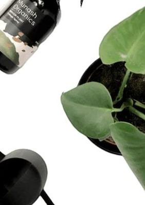 DIY KIT - Plant Gift Bundle