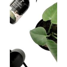 DIY KIT - Plant Gift Bundle