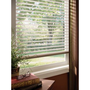Odysee Insulating Blin Zebrablinds - Zebrablinds.com
