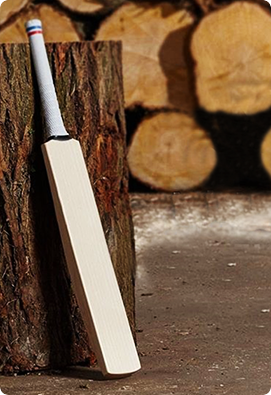 Cricket Bat - Check Cricket...