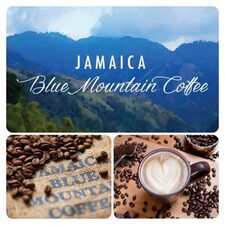Jamaican Blue Mountain Coffee