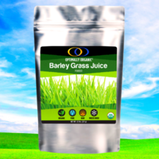 Barley Grass Juice Powder (1/2 lb) - Optimally Organic