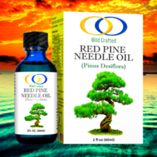 Red Pine Needle Oil - Optimally Organic