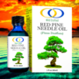 Red Pine Needle Oil - Optimally Organic