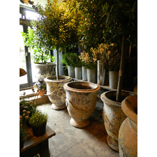 Our selection of beautiful textured provencal pots