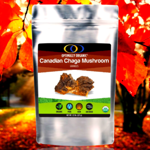 Chaga Mushroom - Loose Tea ...