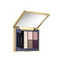 ESTÉE LAUDER Pure Color Envy Sculpting Eyeshadow Palette, Main, color, CURRANT DESIRE