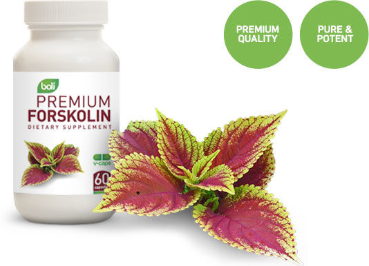 forskolin wholesale & priva...