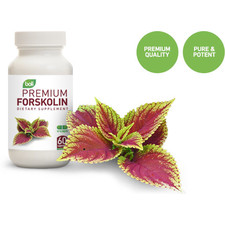 forskolin wholesale & private label