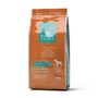 royal premia dog food UAE Dubai Abu Dhabi Sharjah