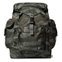 Tiger International Backpack