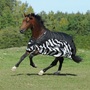 Bucas Buzz Off Zebra Rain Rug