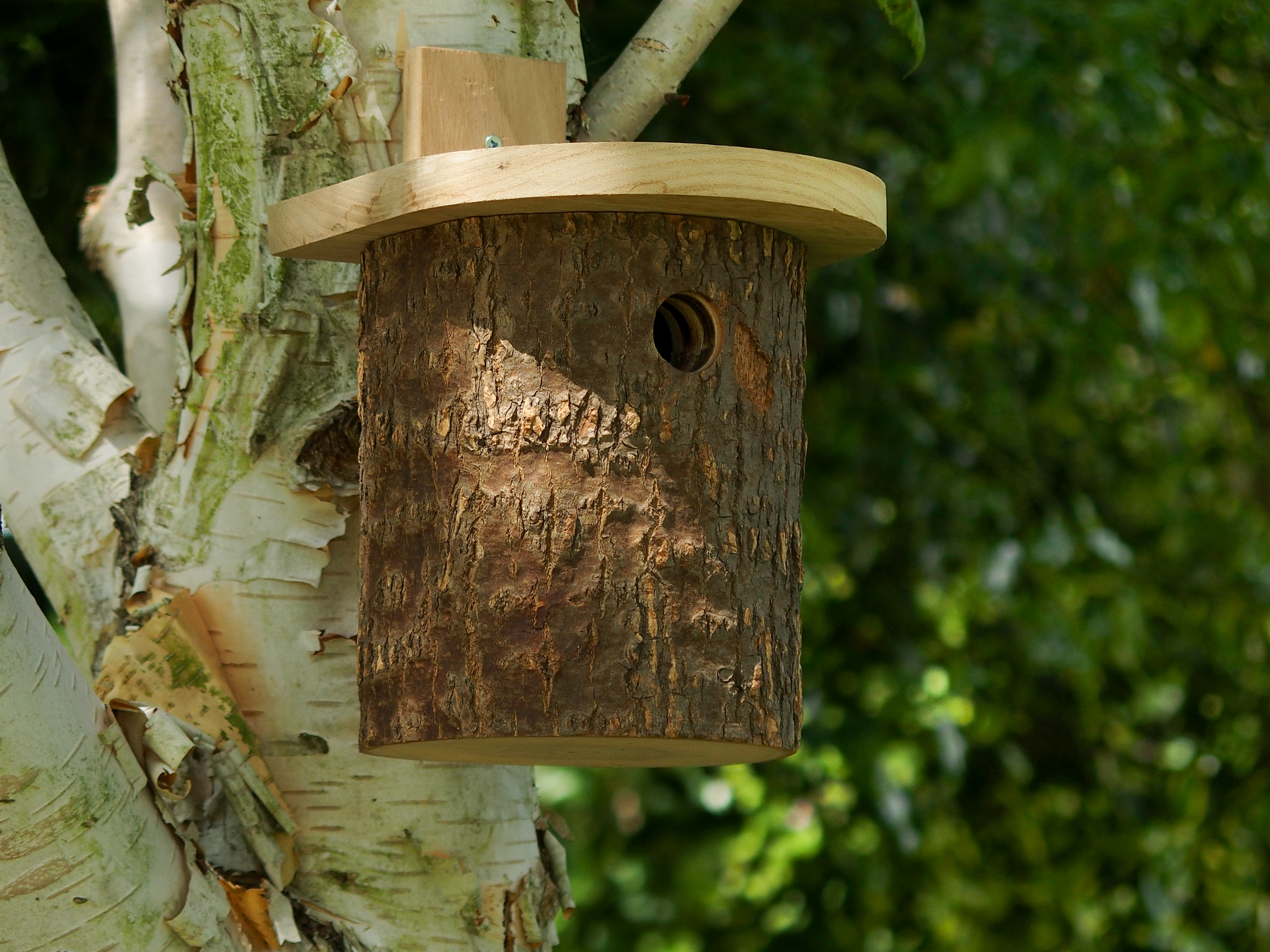 Natural Log Tit Nest Box -New!