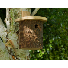 Natural Log Tit Nest Box -New!