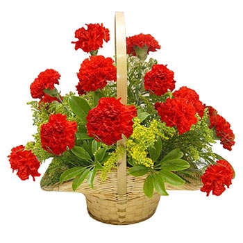 Send Red Carnations basket ...