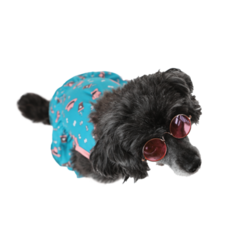 DE PURA CEPA - Pet Dress