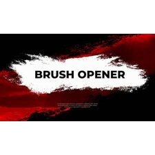 DaVinci Resolve Brush Opener
